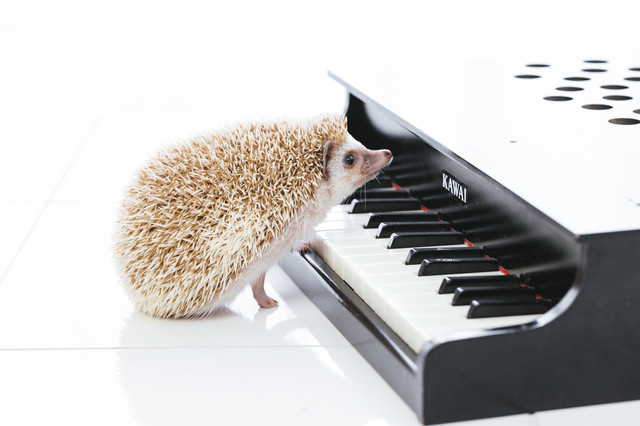 ピアノ　ネズミ.jpg