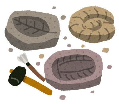 化石.png