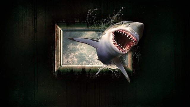 shark-1626288_640.jpg
